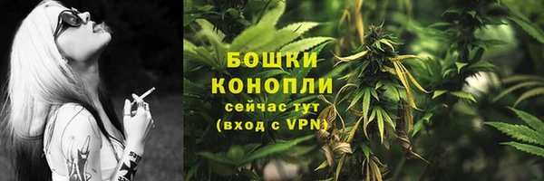 2c-b Белокуриха