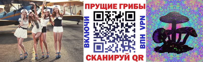 Галлюциногенные грибы GOLDEN TEACHER  Верхняя Пышма 