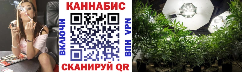 Бошки Шишки конопля  Верхняя Пышма 